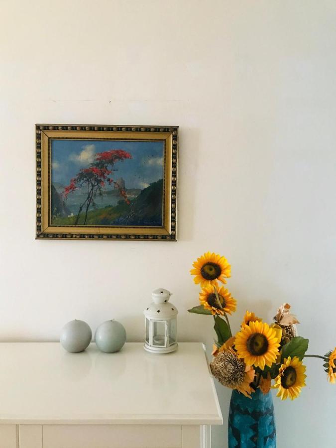 Antas Cozy House Daire Porto Dış mekan fotoğraf