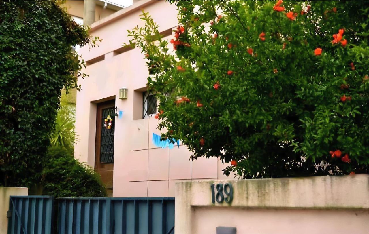 Antas Cozy House Daire Porto Dış mekan fotoğraf
